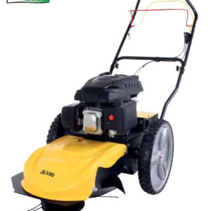 Decespugliatore a ruote a Scoppio ROQUES ET LECOEUR 050300 RL 100 RL