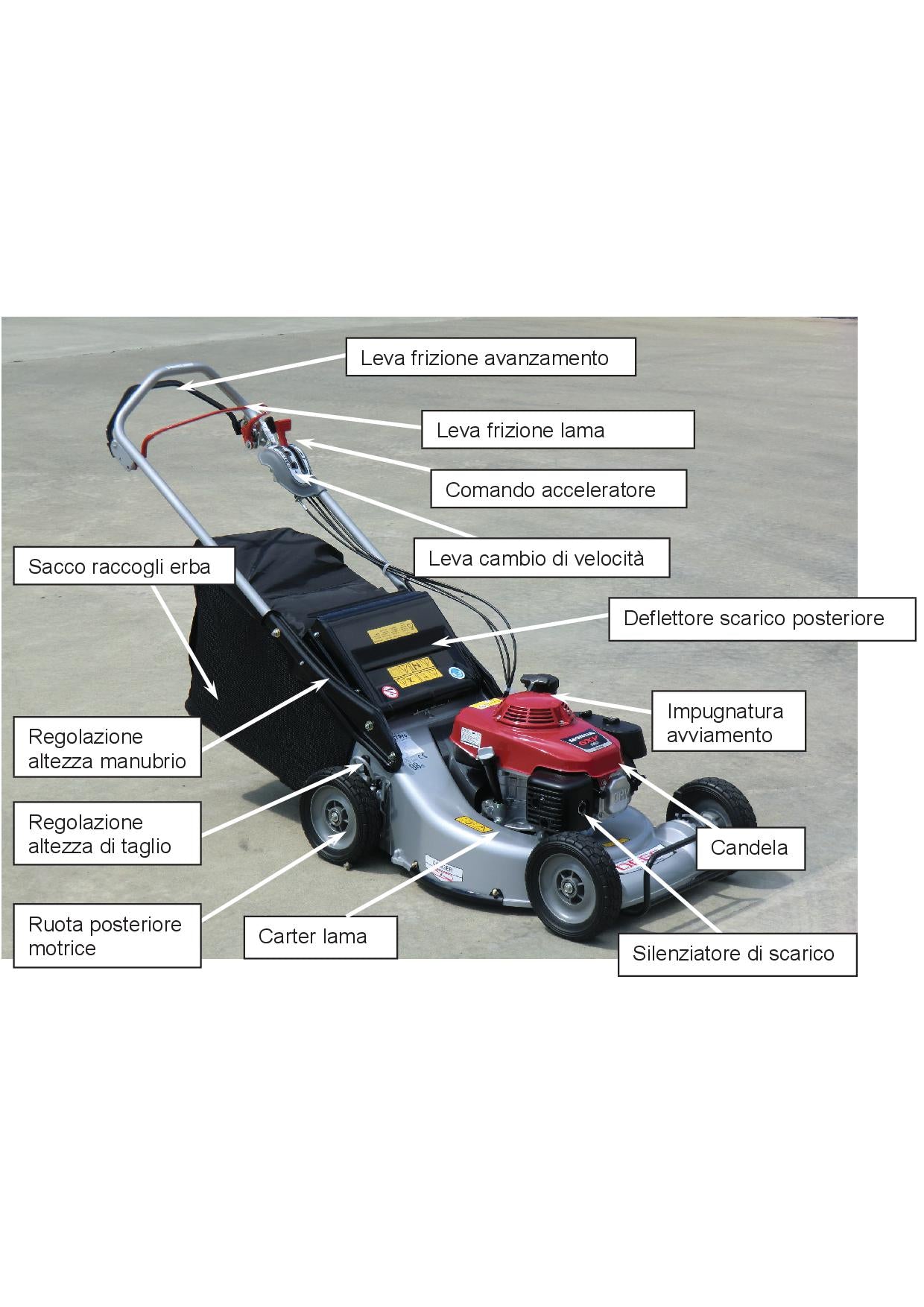 Rasaerba Orec GR537 PRO - trazionato 3 velocit?? - con piatto in alluminio e ALLESTIMENTO PRO - Image 2