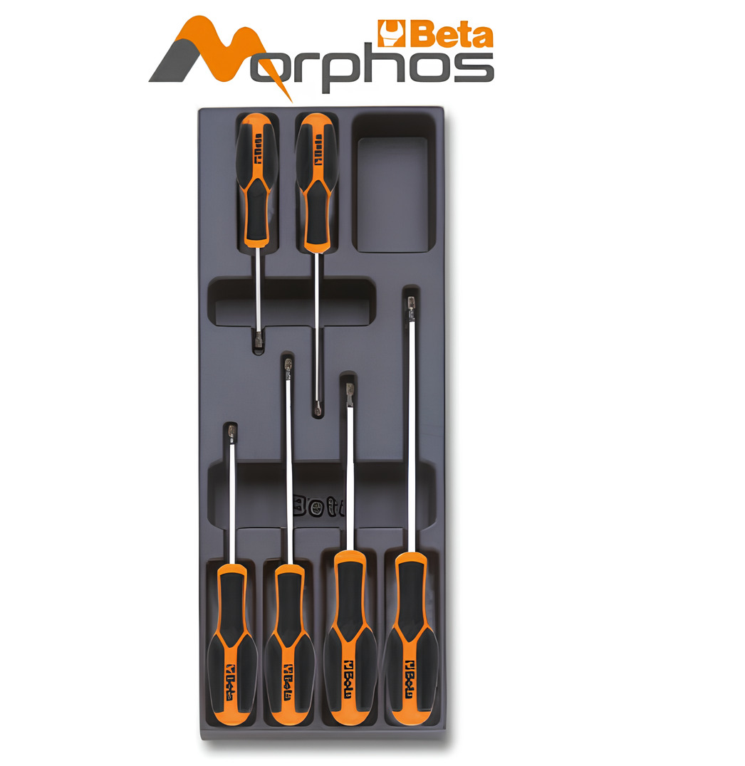 Beta T177 - Modulo rigido giraviti Beta Max per viti con impronta Tamper Resista
