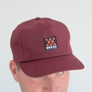 Breeo Logo Hat