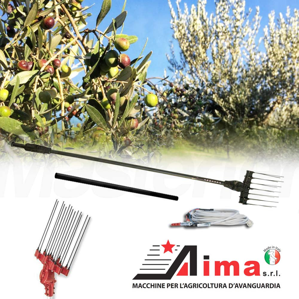 Abbacchiatore olive a batteria Aima VARENNE 12V con asta fissa da 247cm per olive tanaci - Image 2
