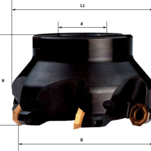 Fervi F308/100 - Fresa a inserto per spianatura