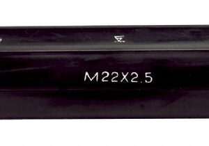 Fervi T04910X1.25 - Tampone filettato doppio pnp metrico 6h