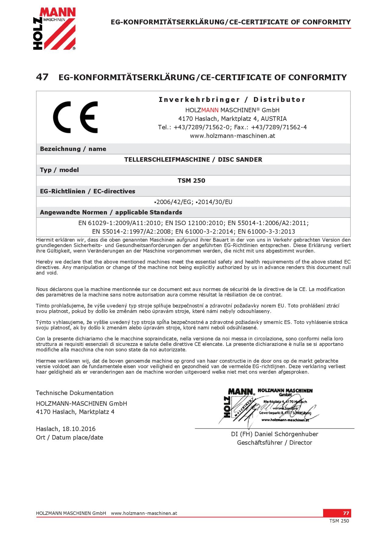 Holzmann TSM 250 - Levigatrice a disco - Image 4